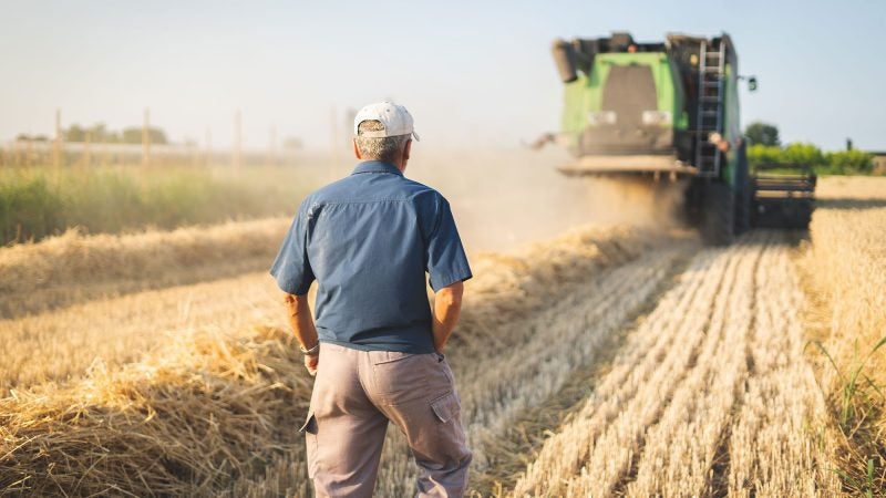 Farmer's Daughter: Strawberries and GMO labeling debate | AGDAILY