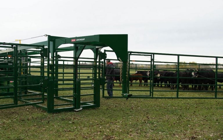 3 common portable cattle corral questions answered | AGDAILY