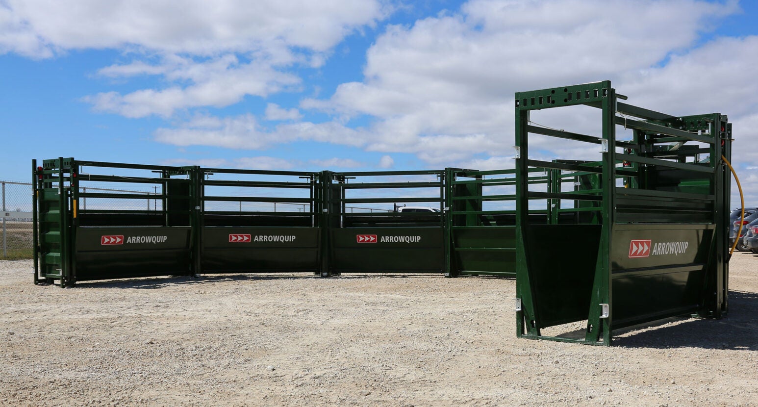 6 cattle handling system design tips you need to know | AGDAILY