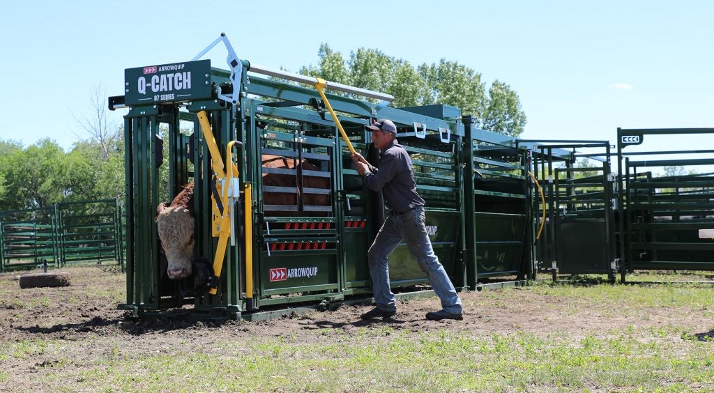 Arrowquip Reinvented Cattle Tubs & Alleys For Enhanced Flow 