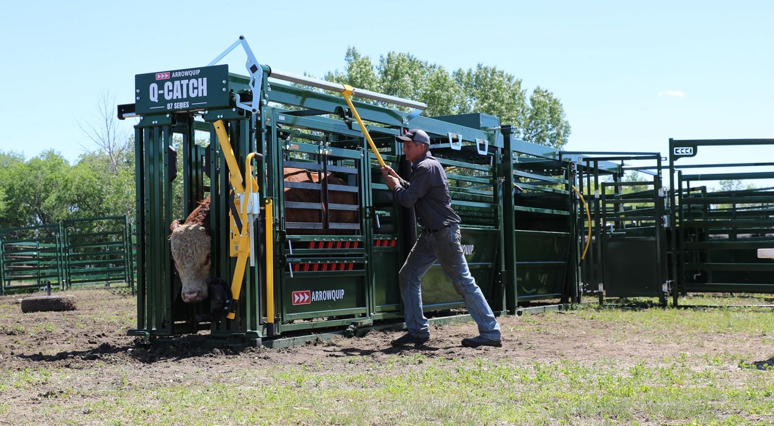 Arrowquip reinvented cattle tubs & alleys for enhanced flow | AGDAILY