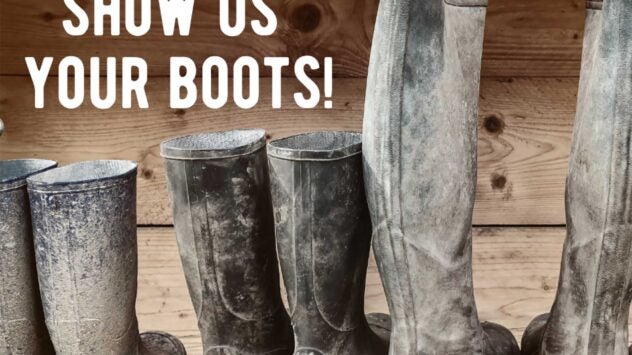 show-us-your-boots-illinois-campaign