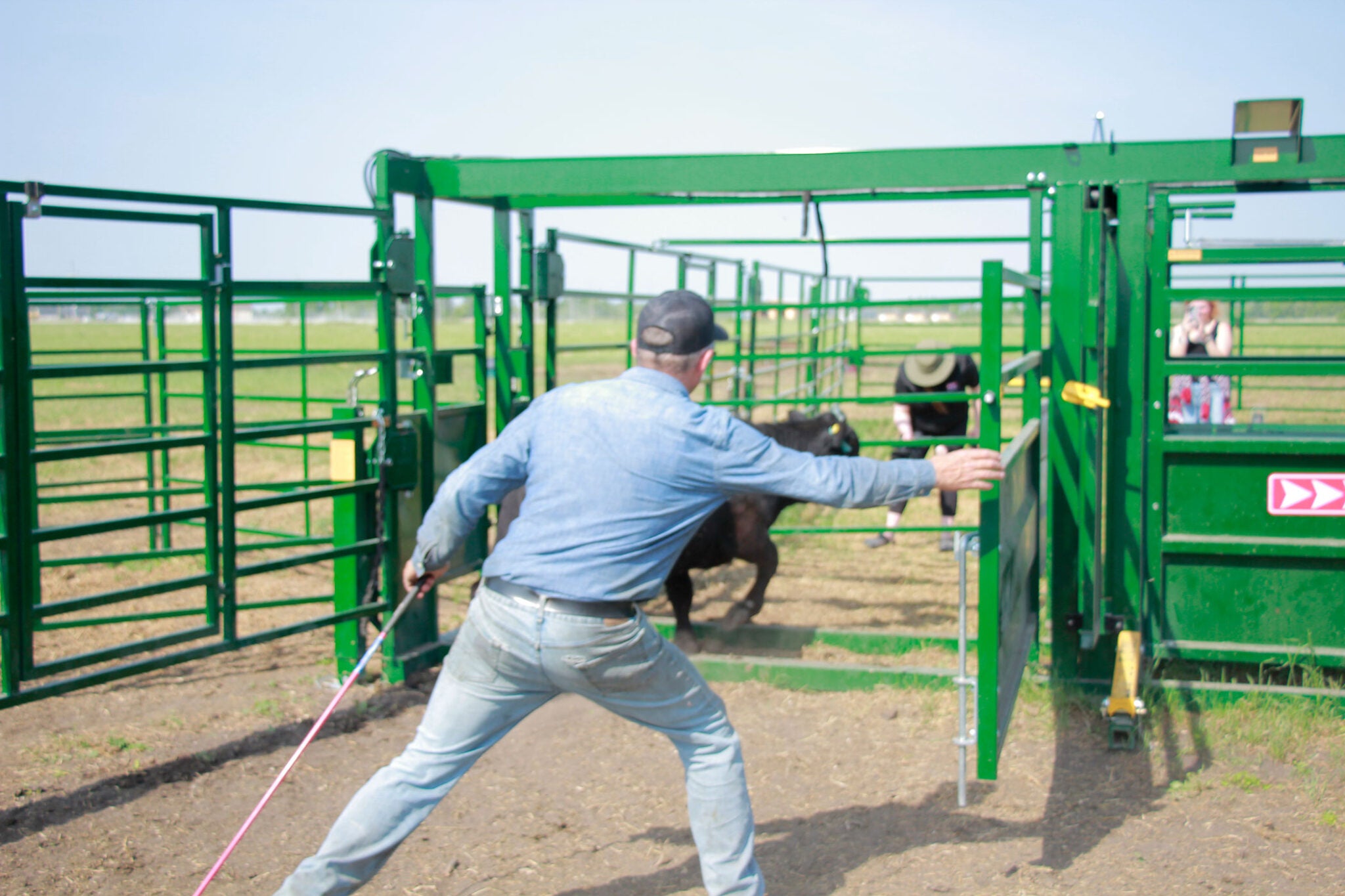 Investing in a portable cattle corral: A rancher's ultimate guide | AGDAILY