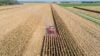 corn-harvest-marion-county-illinois