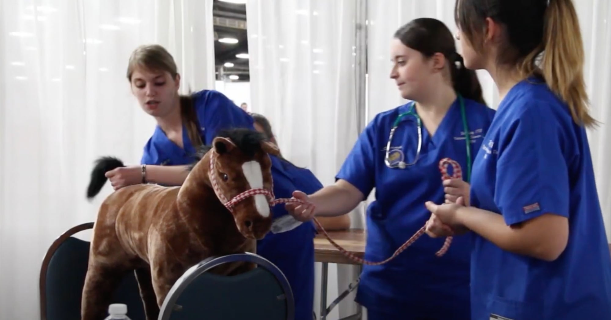 National FFA makes vet science CDE more 'real' AGDAILY