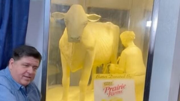 Illinois State Fair Butter Cow