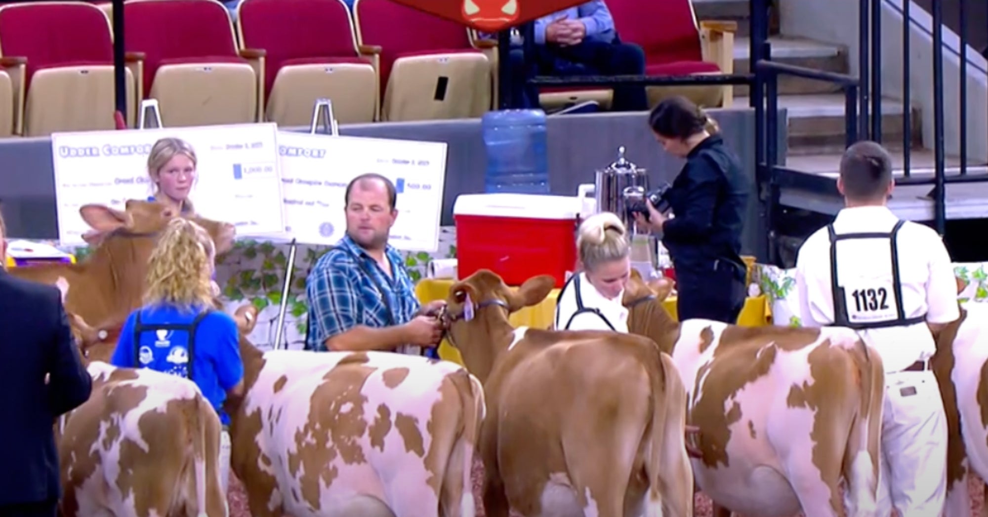 World Dairy Expo Fitting, showmanship, and judging results AGDAILY