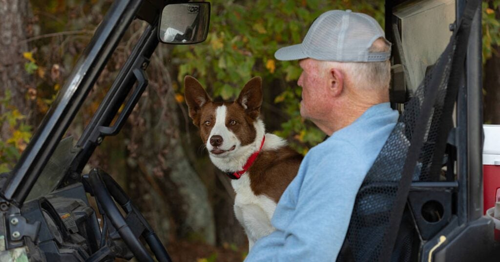 Farm Bureau Names 2024 Farm Dog Of The Year Skippy AGDAILY   AFBF Farm Dog Of The Year 1 1024x536 