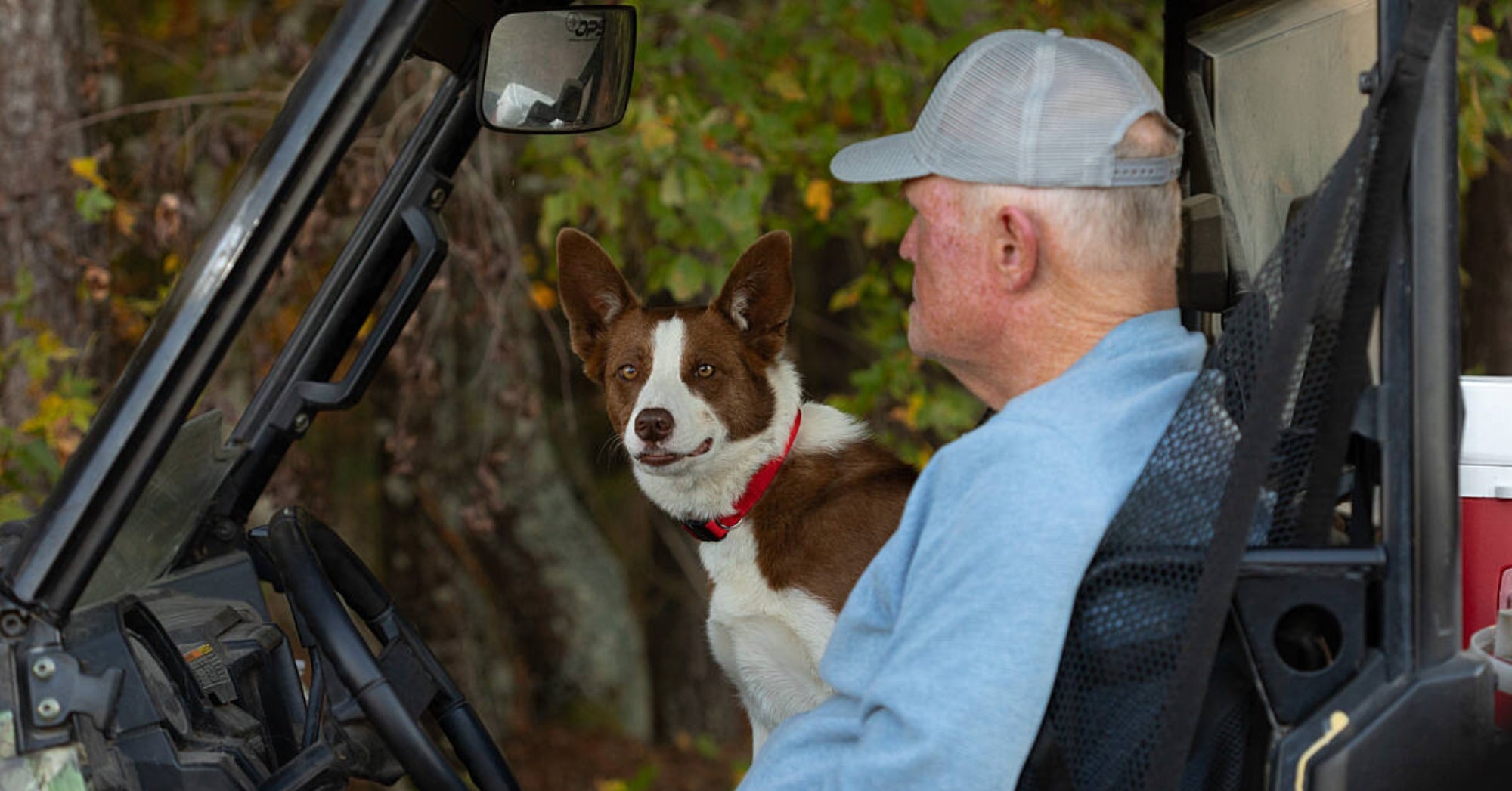 Nominations open for 2025 Farm Bureau Farm Dog of the Year AGDAILY