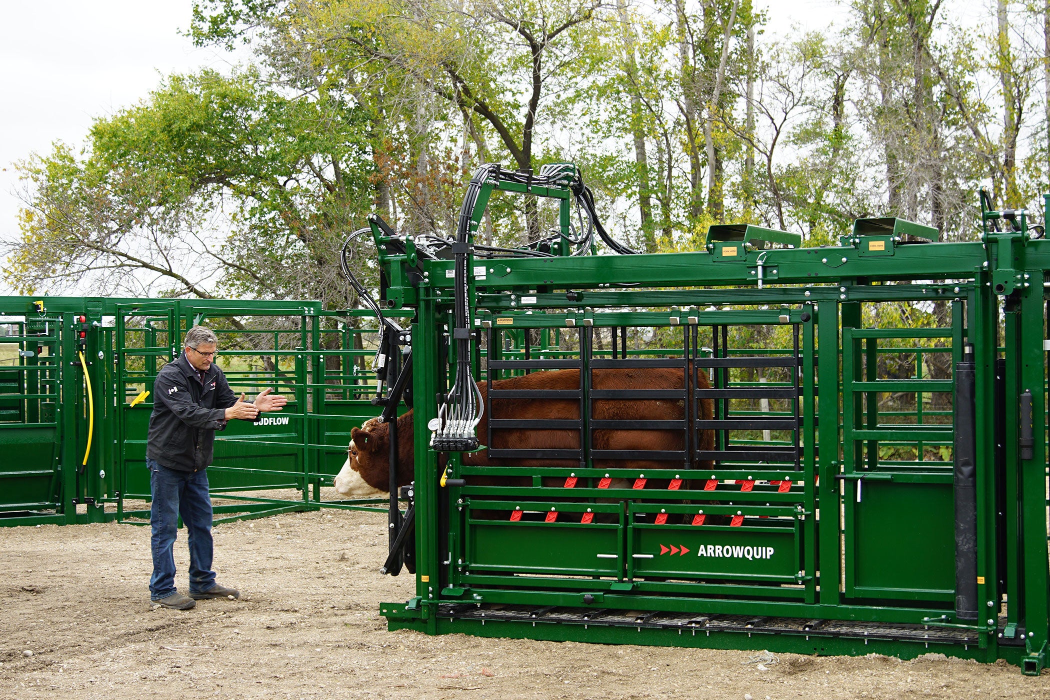 Arrowquip’s latest cattle equipment lineup raises the bar again | AGDAILY