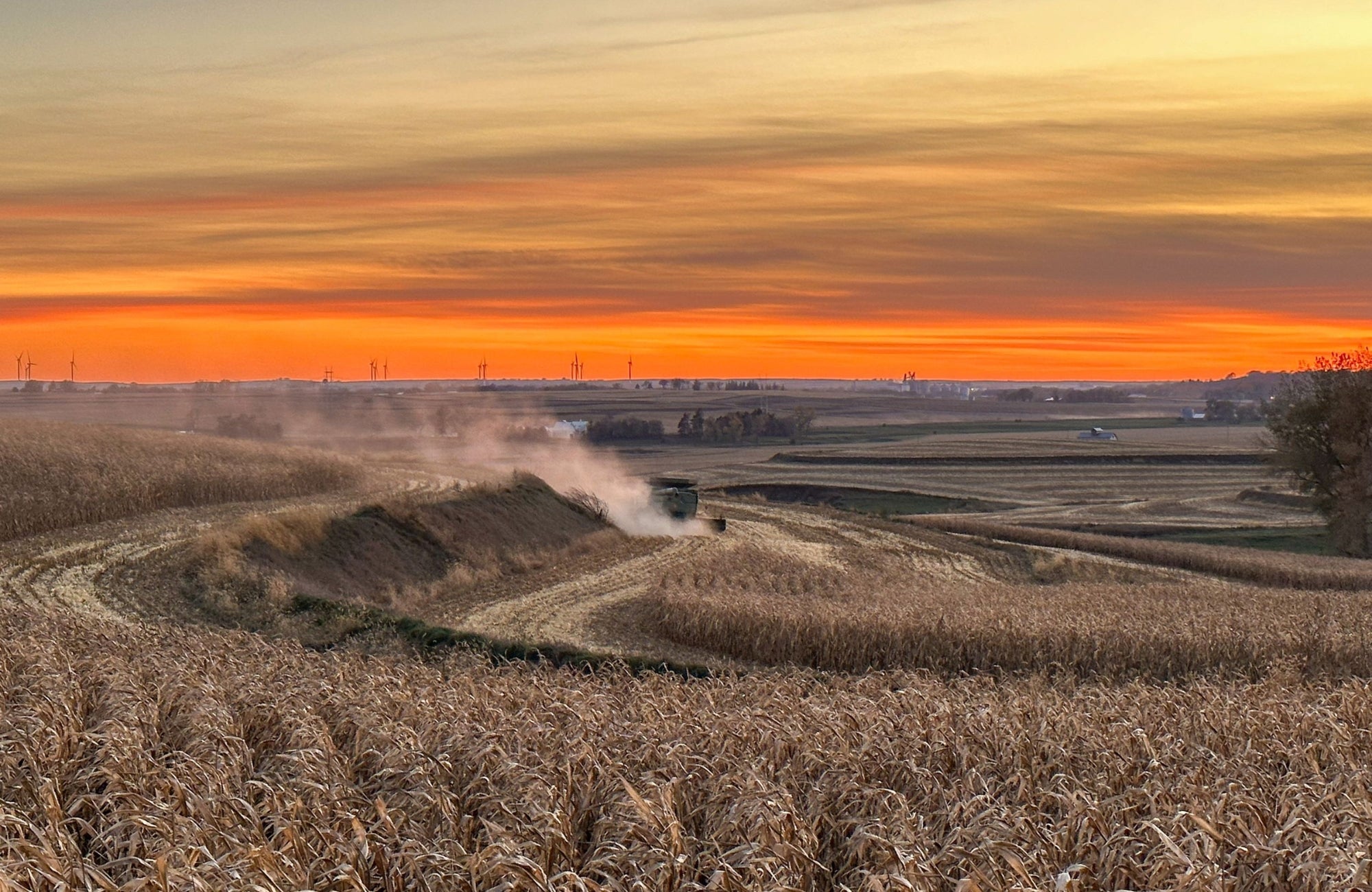 ncga-announces-fields-of-corn-photo-contest-winners-agdaily