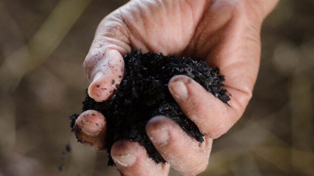 biochar-soil-health