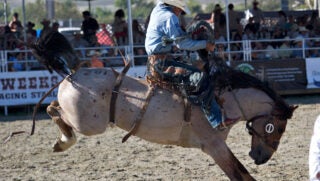 california-rodeo-prca