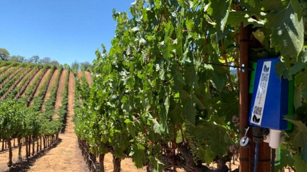 Agrology-Sensor-Vineyard-Landscape