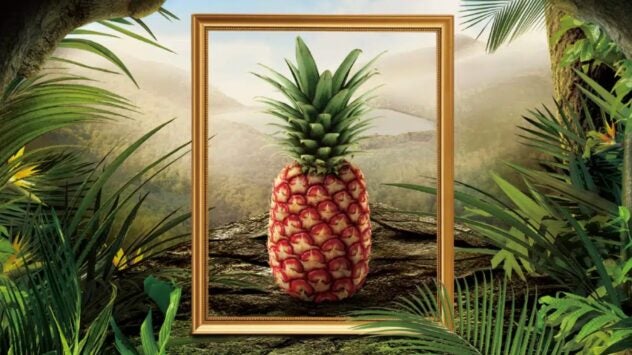 Del Monte Rubyglow Pineapple