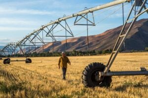Farmer-walking-near-irrigation-equipment