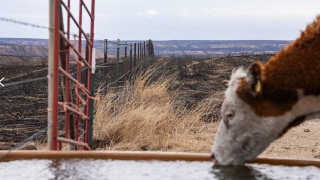 Hereford Smokehouse Creek Fire