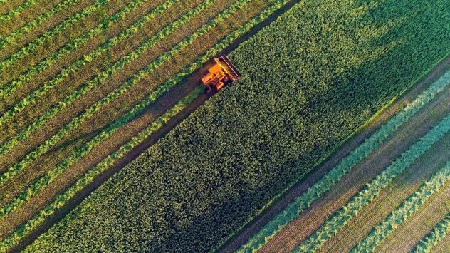 sygnenta-agricultural-harvesting