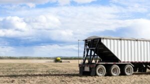 Grain Truck