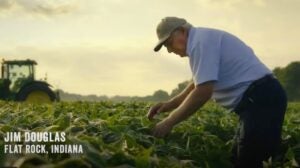 Jim Douglas Soybeans