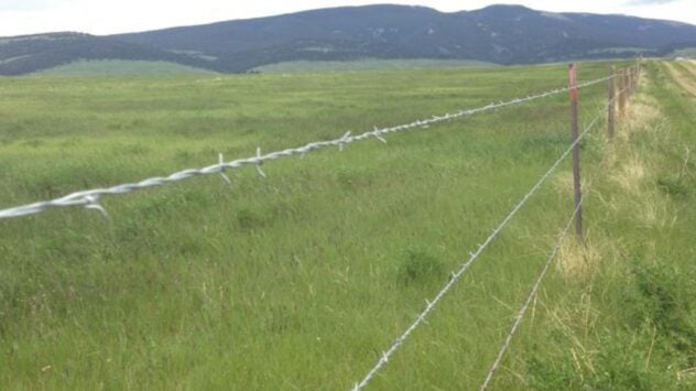 Barbed Wire FEnce Montana