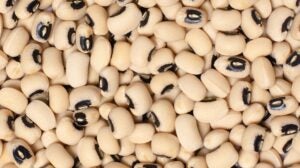 Black Eyed Peas