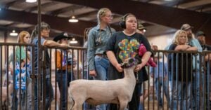 Colorado 4-H Member Gage Perdue