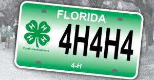 Florida 4-H Plate