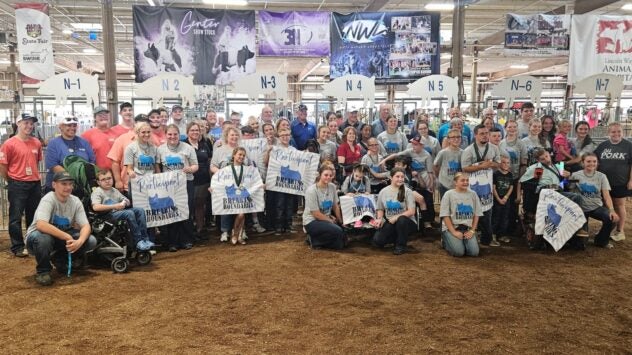 Breaking Boundaries Pig Show