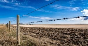 Types of Fencing: Barbed wire, wooden posts