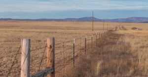 Types of Fencing: Barbed wire t-post fence