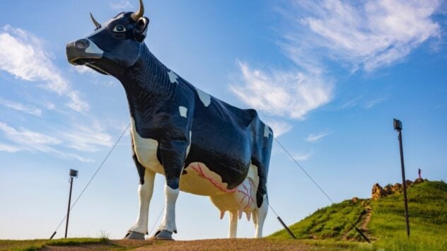 World's Largest Cow