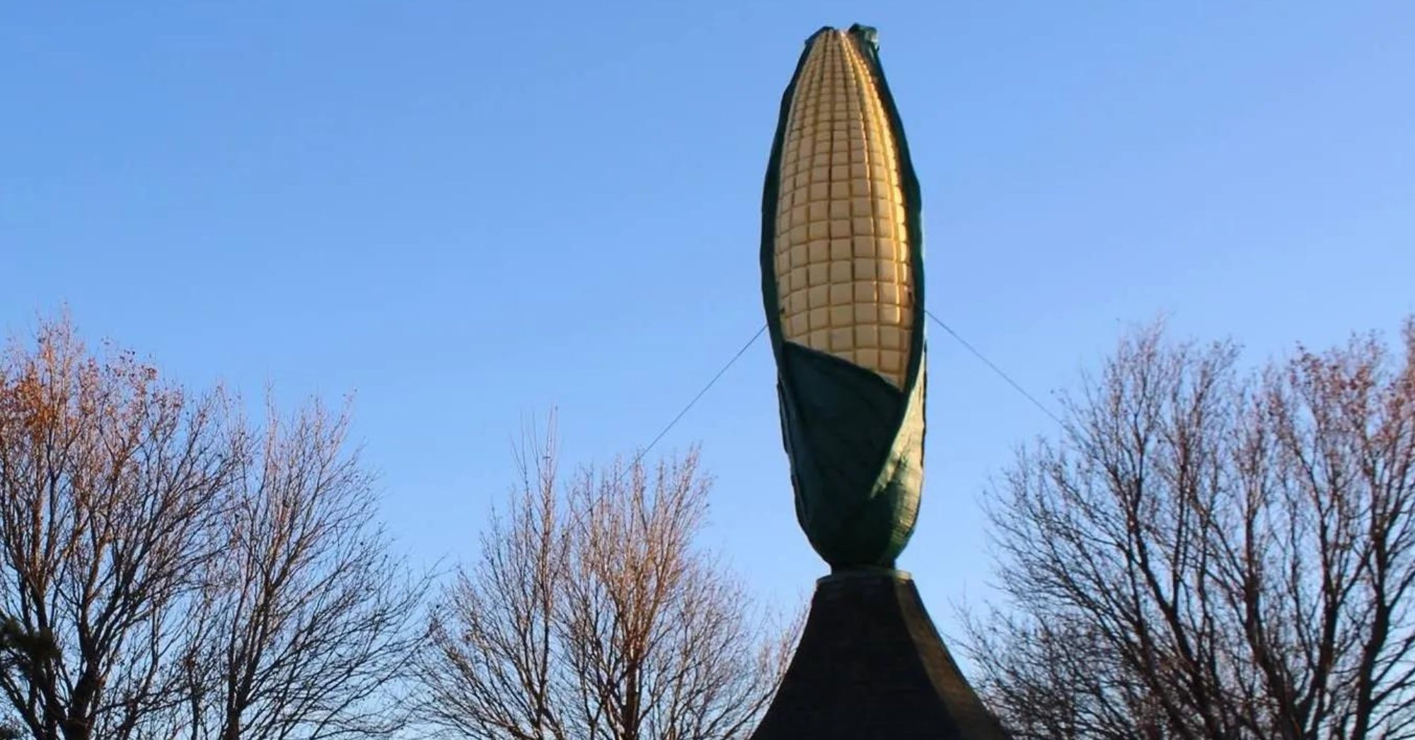 World's Largest Ear of Corn