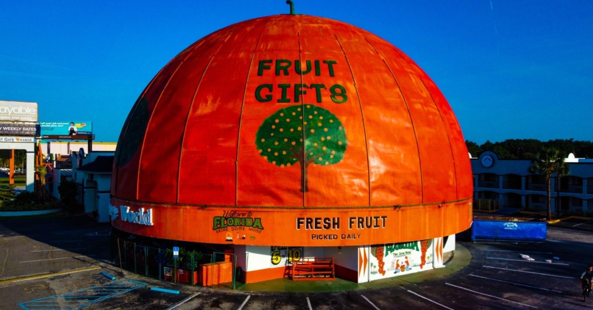 World's Largest Orange