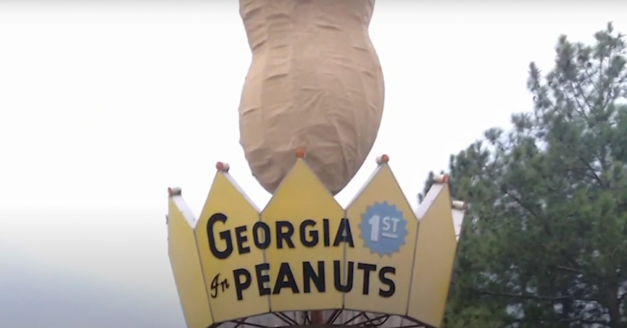 World's Largest Peanut