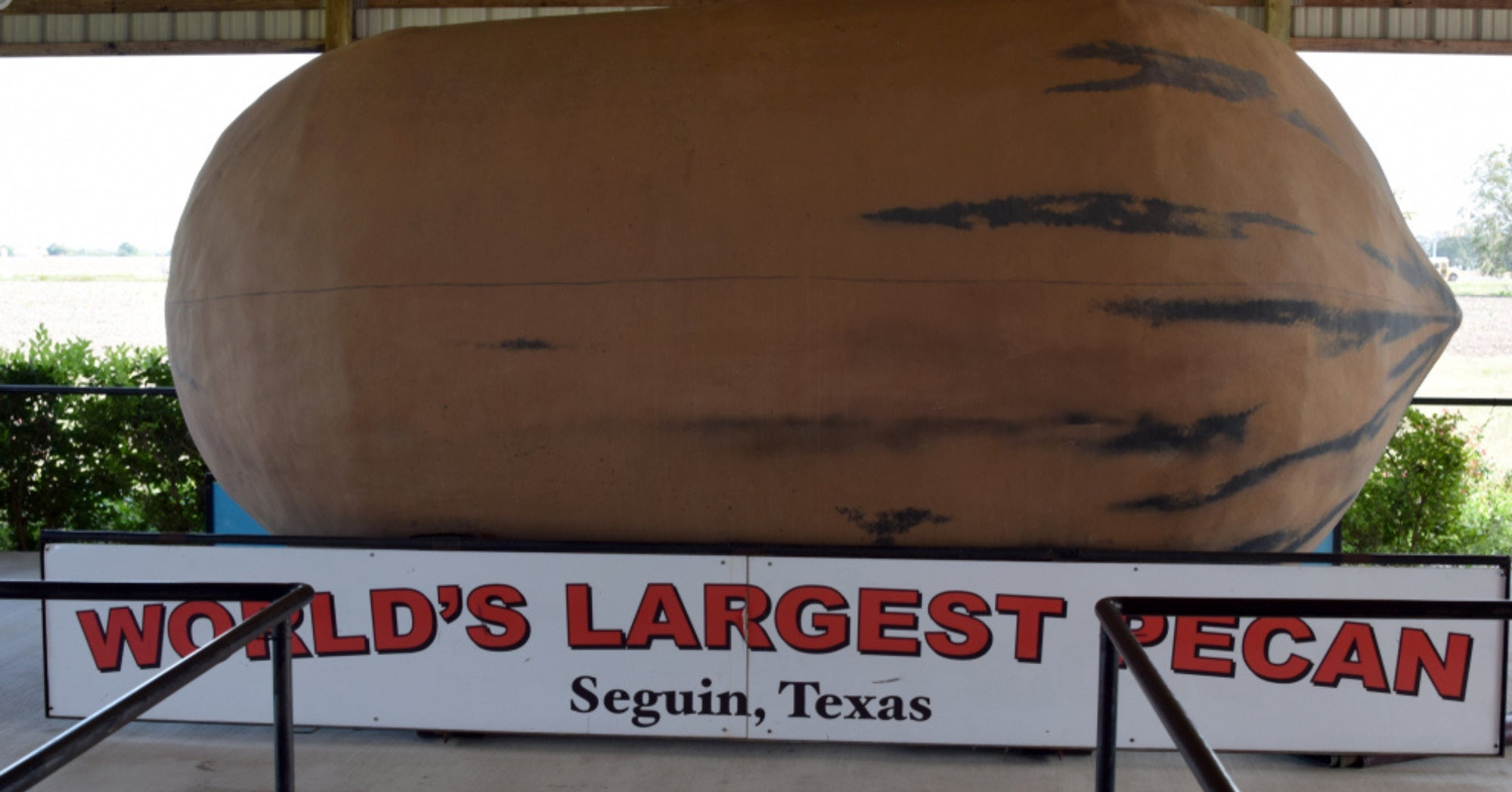 World's Largest Pecan