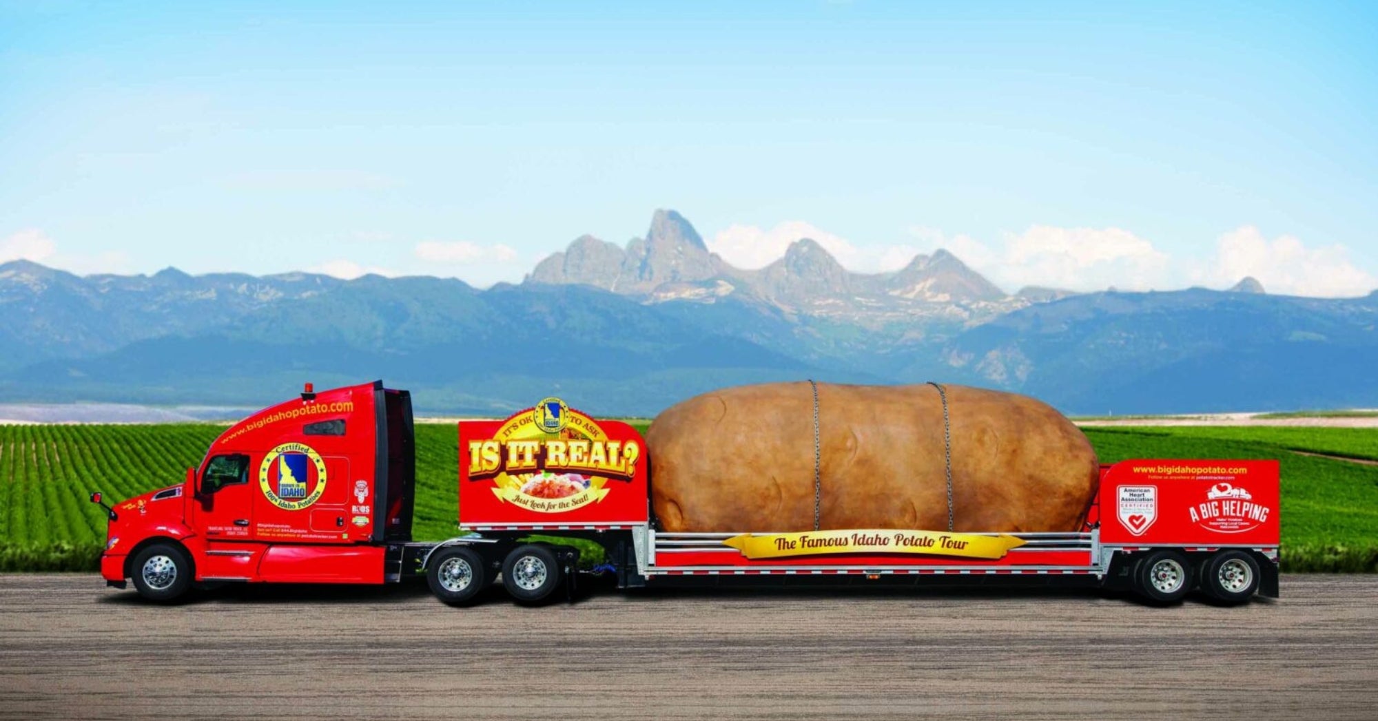 World's Largest Potato