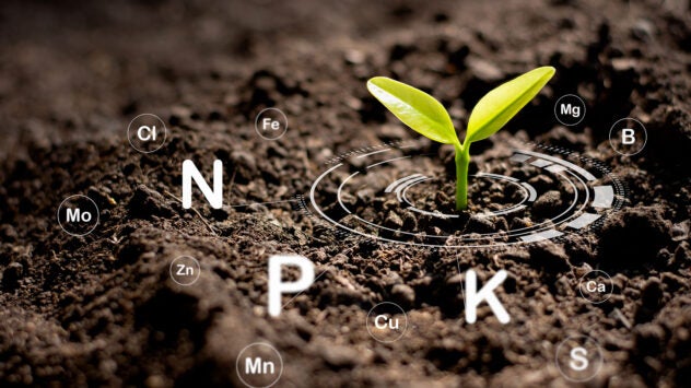 fertilizer-nutrients-plant-health