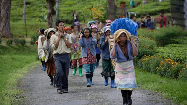 sikkim-farmers-india