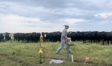 Farmer Derek’s ‘Dance the Night Away’ wows his cows