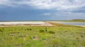 Muleshoe National Wildlife Refuge