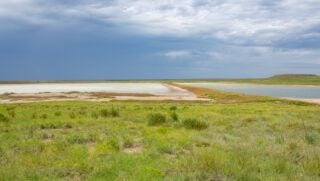 Muleshoe National Wildlife Refuge