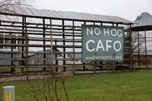 No-hog-cafo-wisconsin-watch