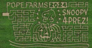 Peanuts Corn Maze