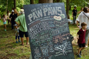 pawpaw-sign-horz_1500