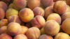 peaches-california-farmers-market