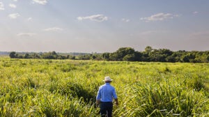 sygenta-farmer-sustainability-projects