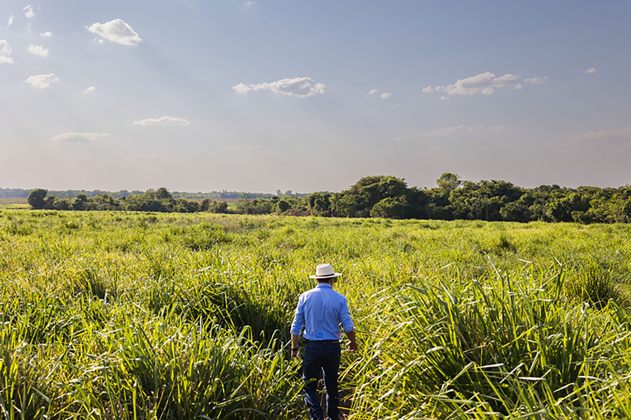 sygenta-farmer-sustainability-projects