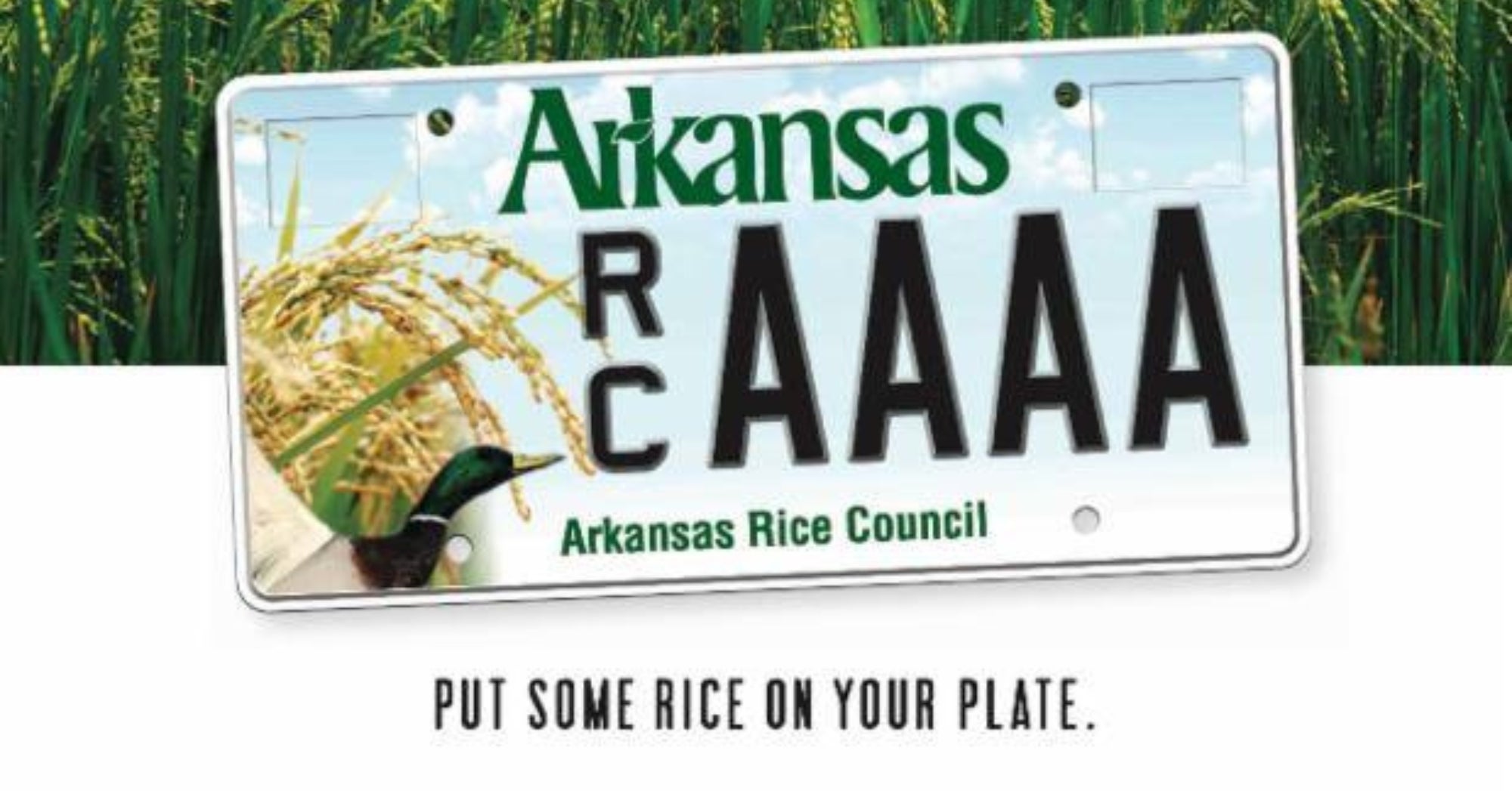 Arkansas Rice Council Plate