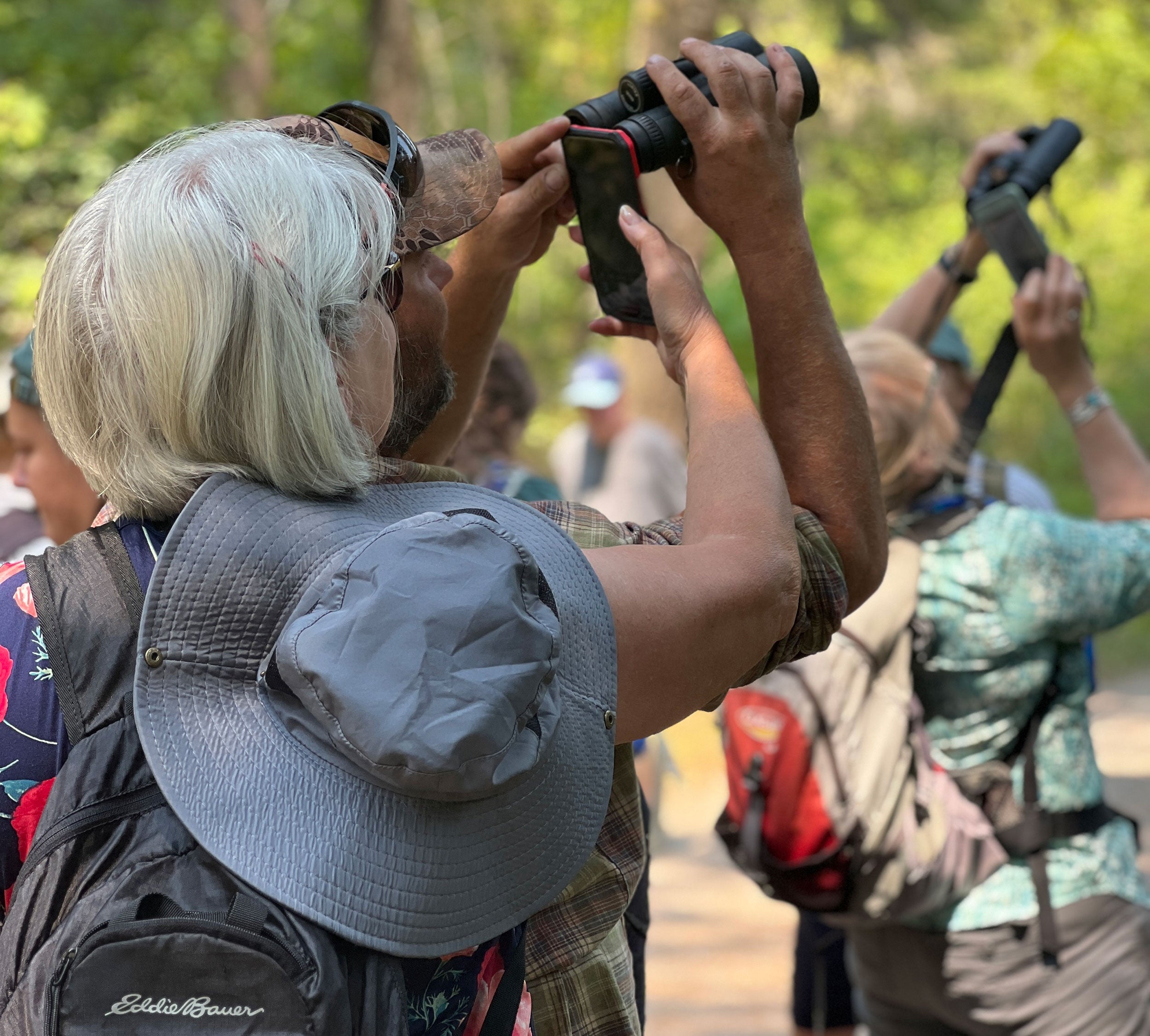 Volunteers-photographing-pine-cones-Photo-by-Suzanne-downing